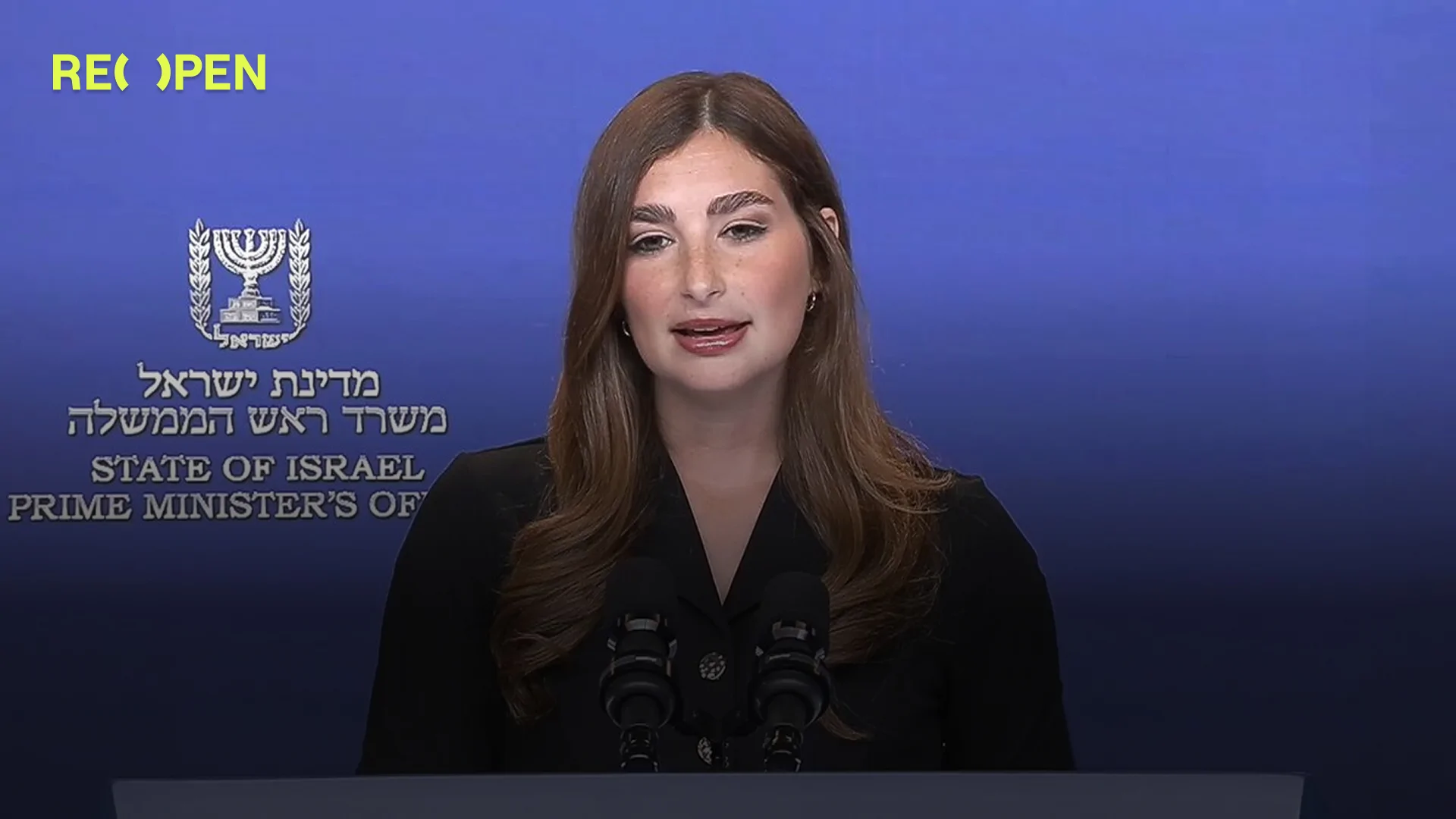 Shosh Bedrosyan: Turkish Soldiers Will Not Enter Gaza