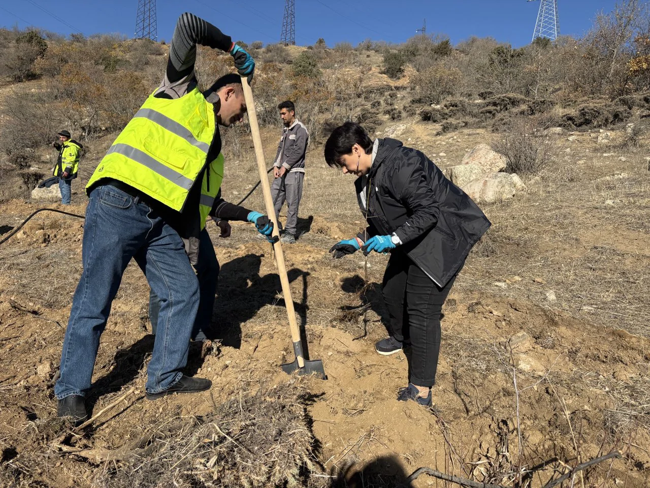 Հյուսիս-հարավի շինարարները Մեղրիում 7500 ծառ են տնկում