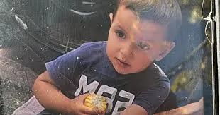 Parental Rights of 3-Year-Old Tigran's Parents to be Discussed