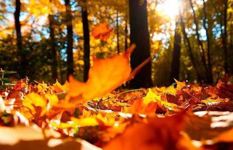 Weather in Armenia: Temperatures to Rise Significantly