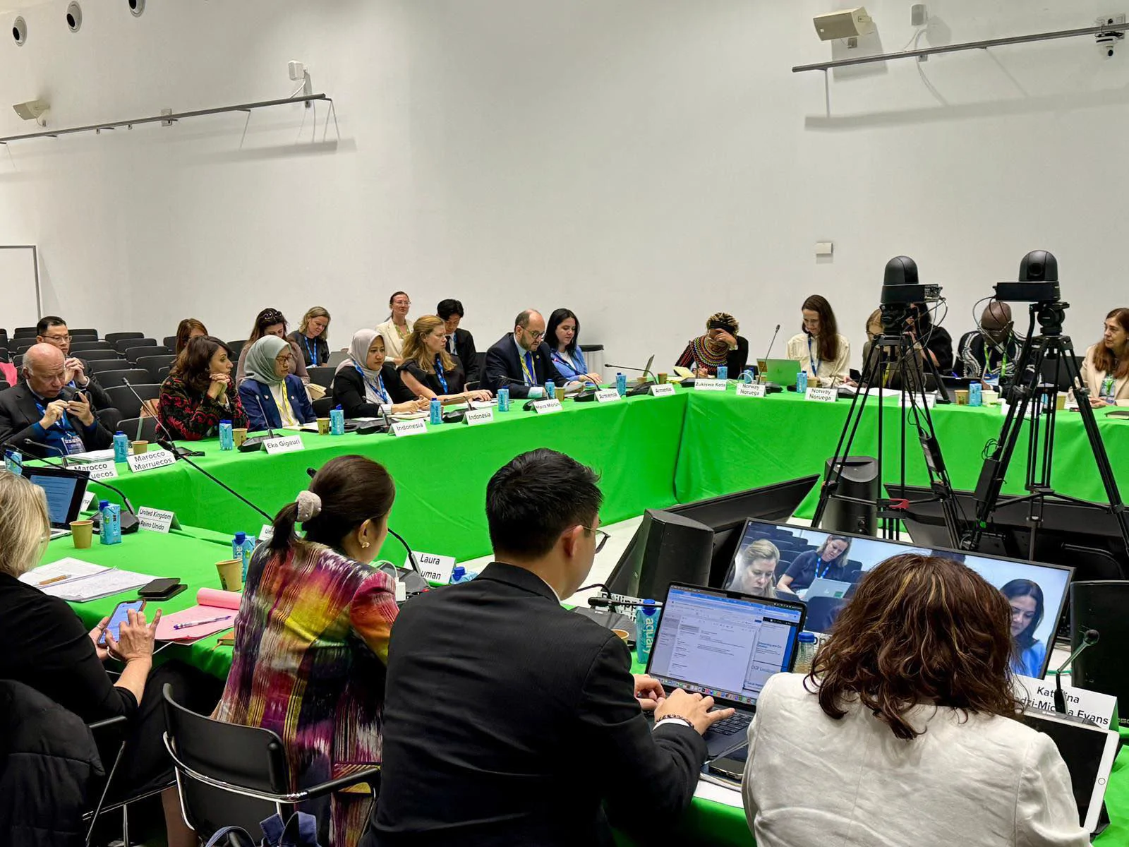 Harutyunyan Attends OGP Steering Committee Meeting