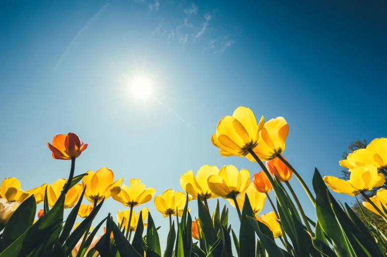 Armenia to See 8-10 Degree Temperature Rise from Oct. 3