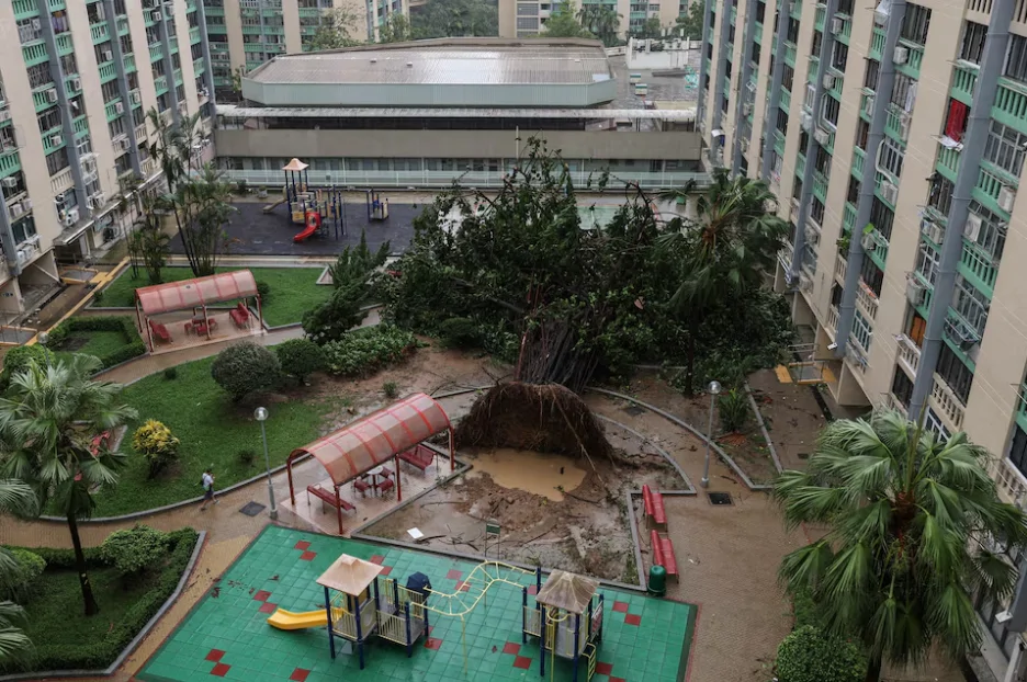 Hong Kong Life Resumes After Super Typhoon Ragasa Hit