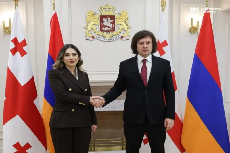 Georgian PM, Armenian Justice Minister Discuss Partnership