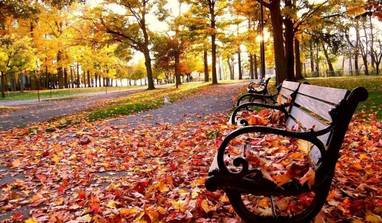 Օլիմպիական կրակը փոխանցվեց Իտալիային՝ 2026-ի խաղերի համար