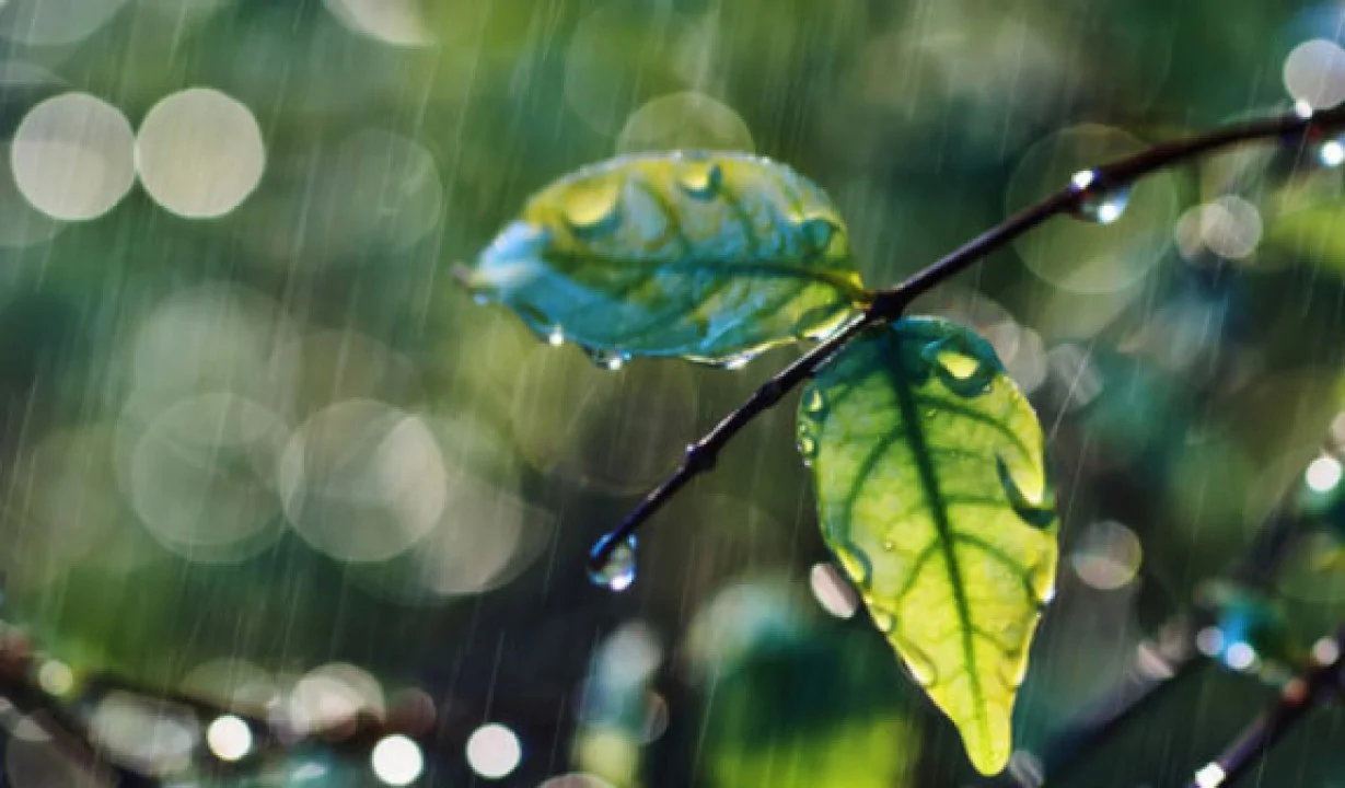 Weather in Armenia: Rain, Wind Forecast as Temperatures Drop