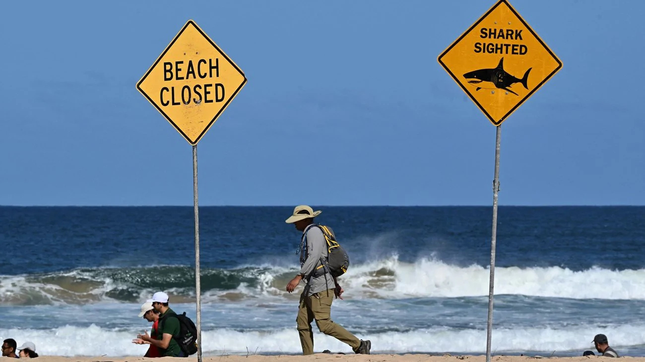 Man Dies in Suspected Shark Attack in Sydney