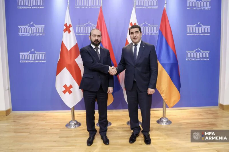 Mirzoyan, Georgian Speaker Discuss Strategic Partnership