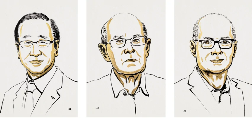 Nobel in Chemistry for Metal-Organic Frameworks
