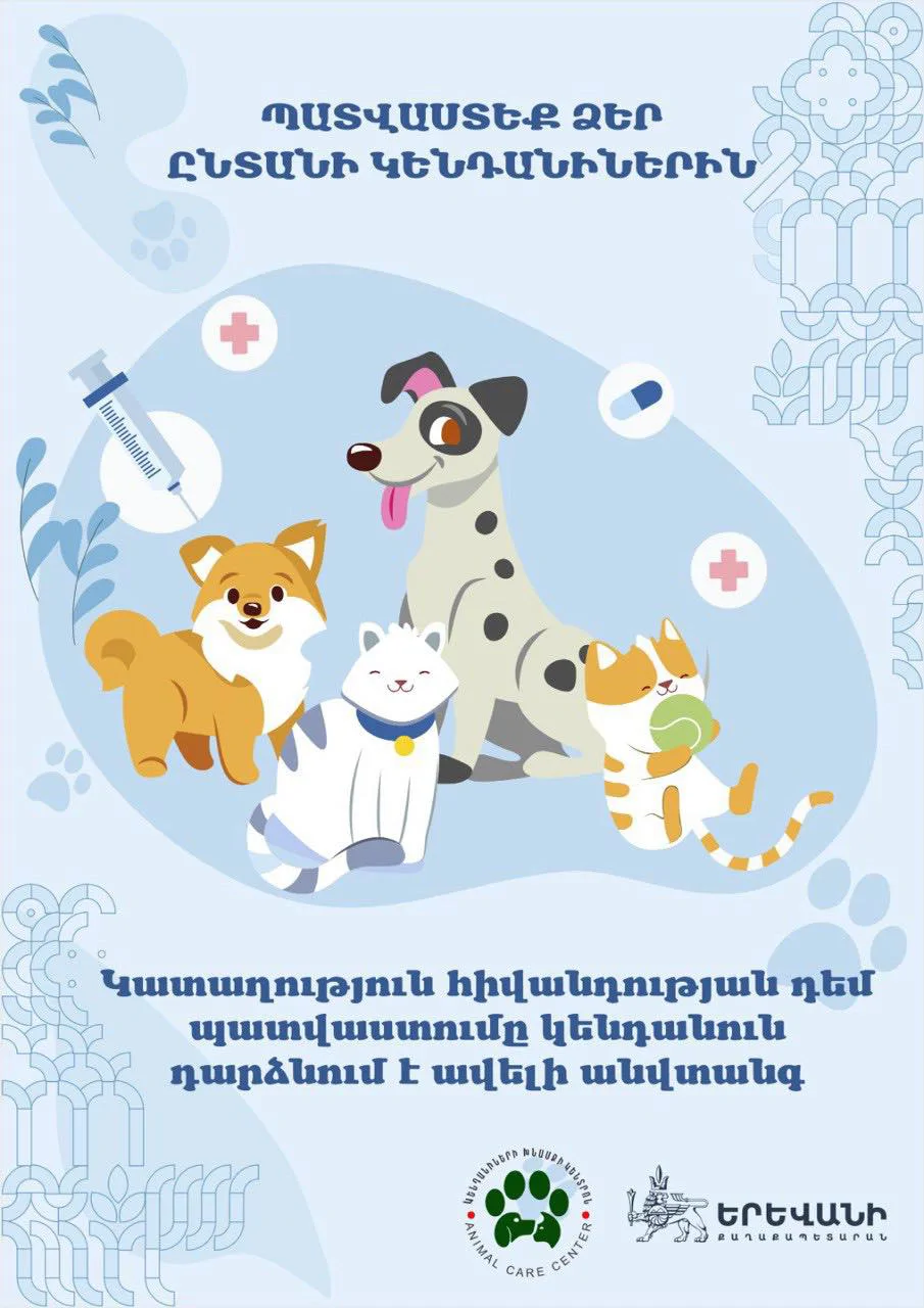 Տարեսկզբից Երևանում պատվաստվել է 2130 թափառող շուն․ քաղաքապետարան