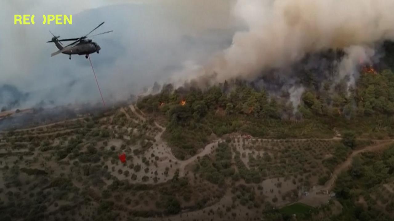 In Turkey, a man set fire to a forest while trying to burn ticks