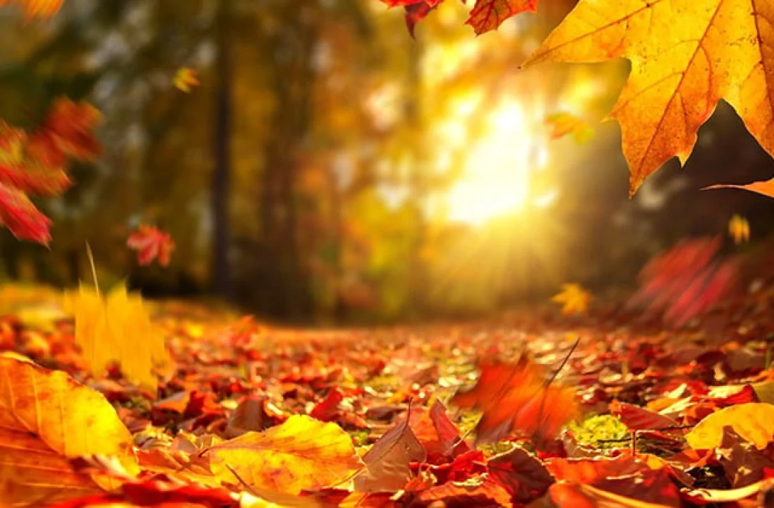 Օդի ջերմաստիճանը կրկին կբարձրանա․ սպասվում են կարճատև տեղումներ