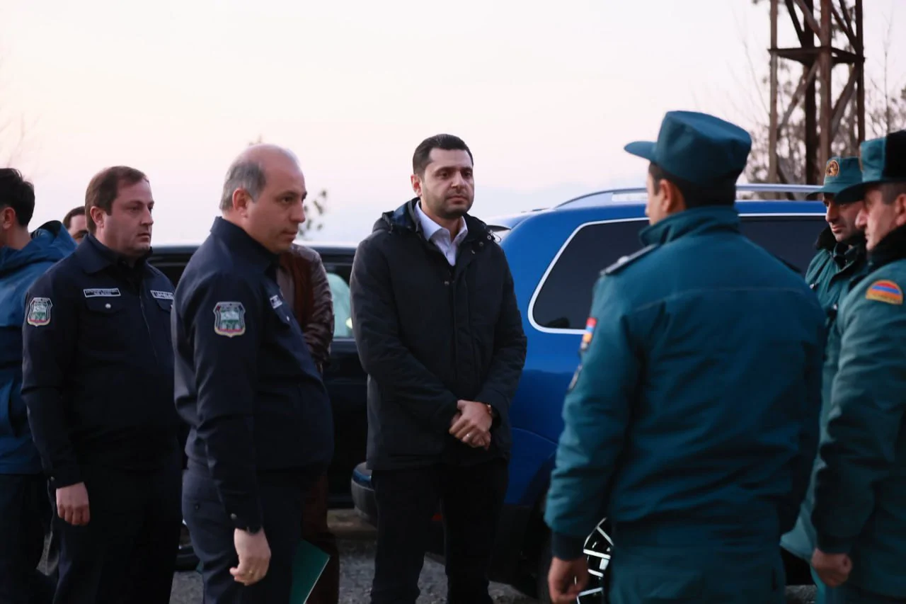 Նախարարը՝ Դիլիջանի հրդեհների հետևանքների մասին