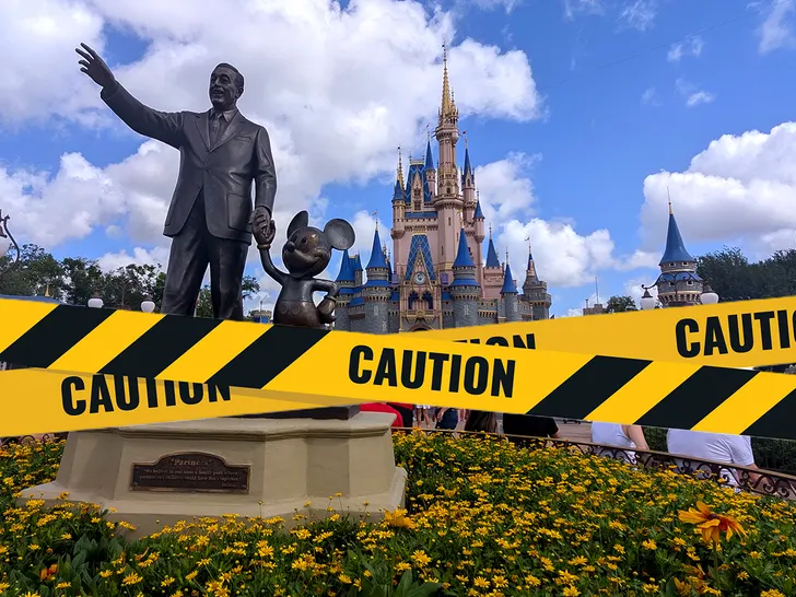 Series of Deaths at "Happiest Place on Earth"