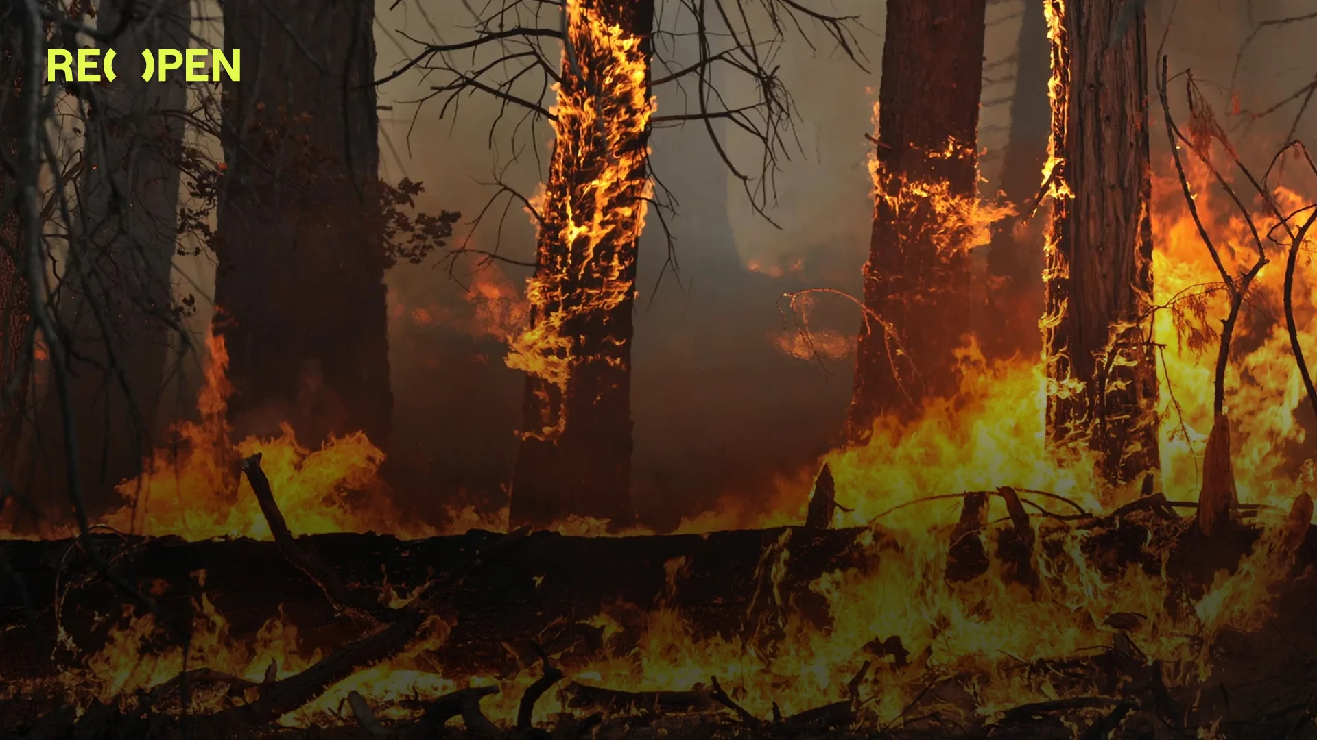 5 մարզում հրդեհներ են, մի մասը հաջողվել է մարել