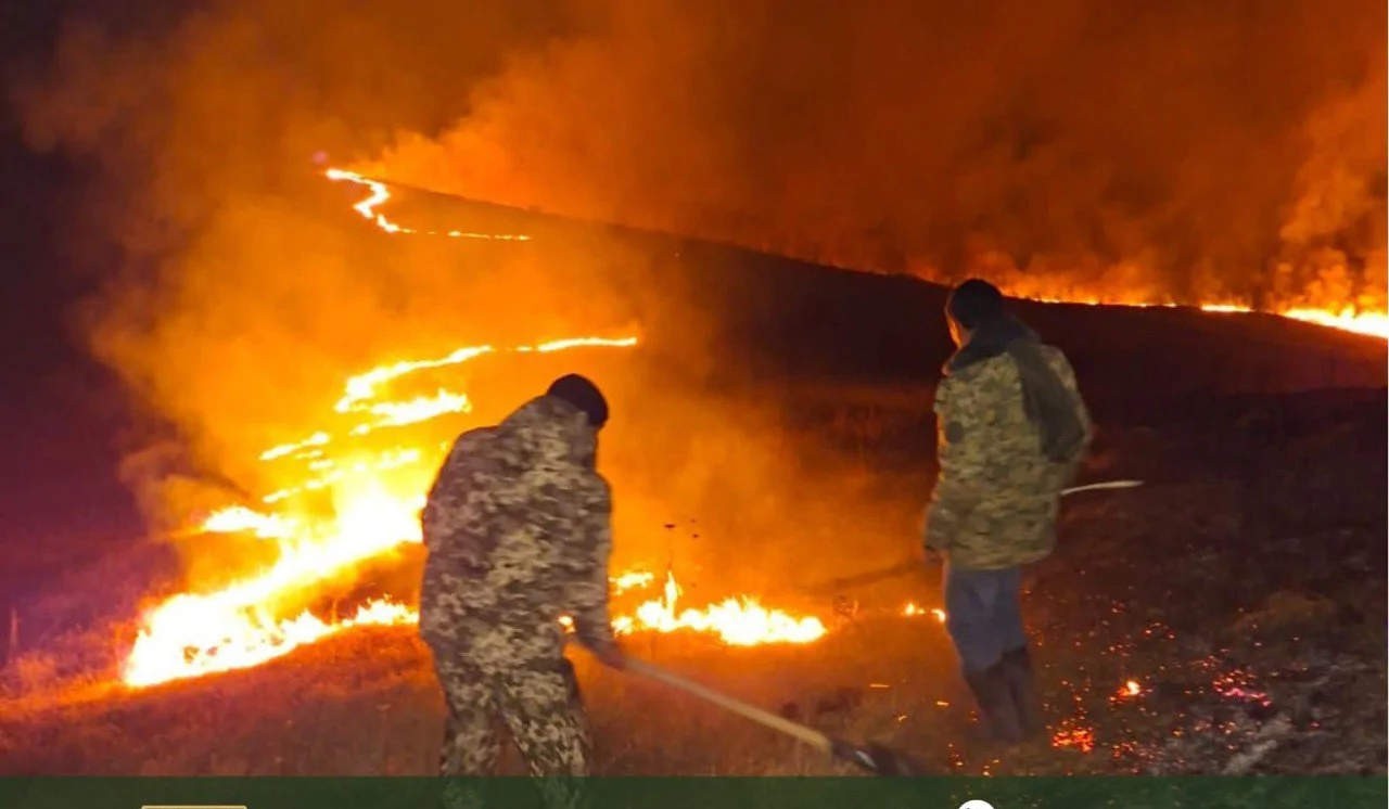 Հրդեհը Ճամբարակի անտառում շարունակվում է