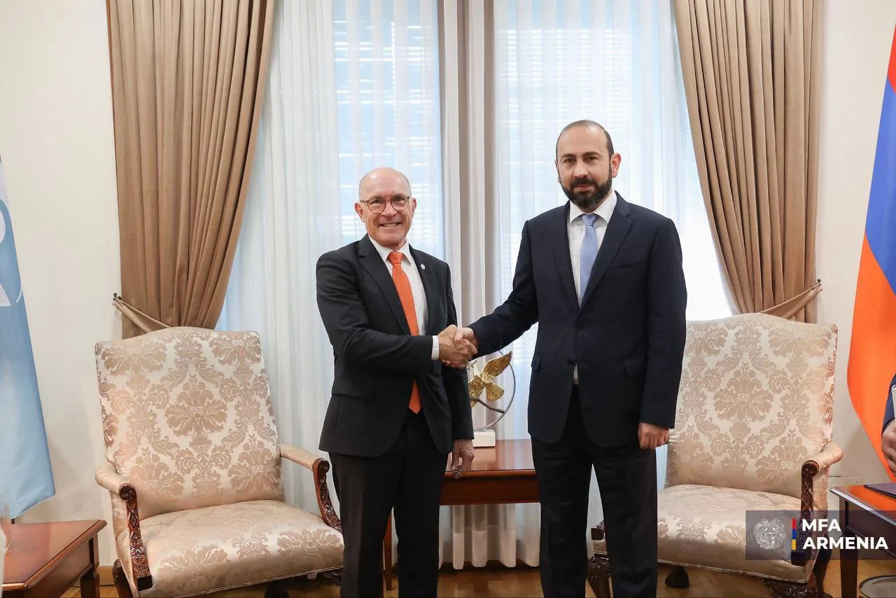 Мирзоян встретился с исполнительным секретарем ДВЗЯИ