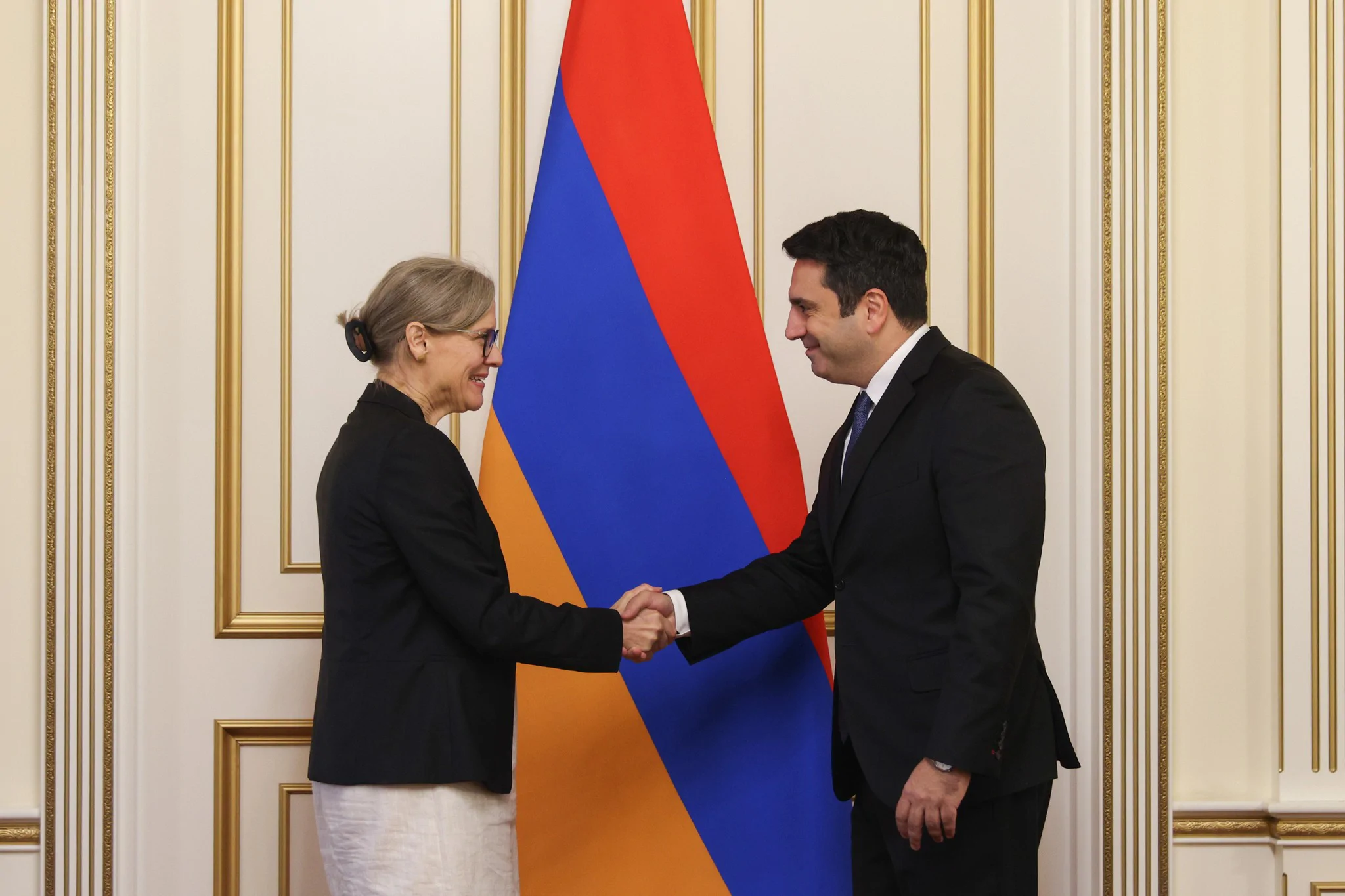 Ալեն Սիմոնյանը հանդիպել է Շվեդիայի նորանշանակ դեսպանին