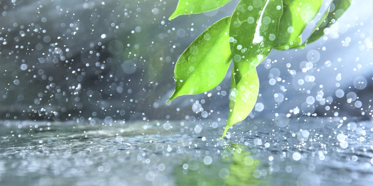 Առաջիկա օրերին սպասվում են տեղումներ, լեռներում՝ թաց ձյուն