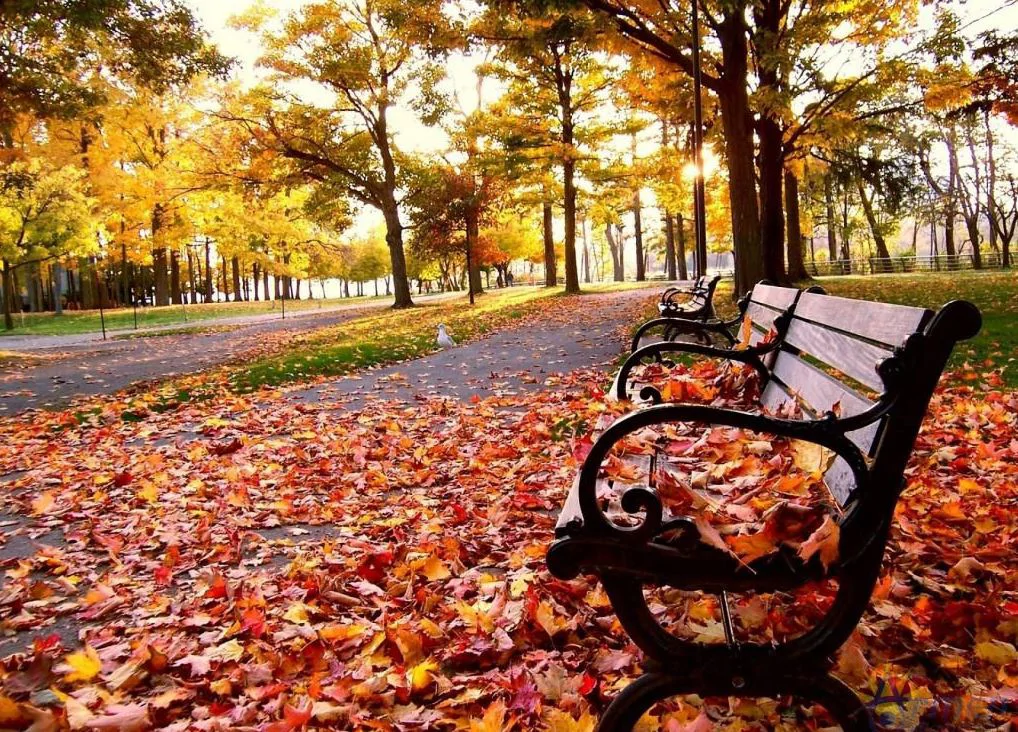 Temperature to Rise by Another 1-2 Degrees: Weather Forecast