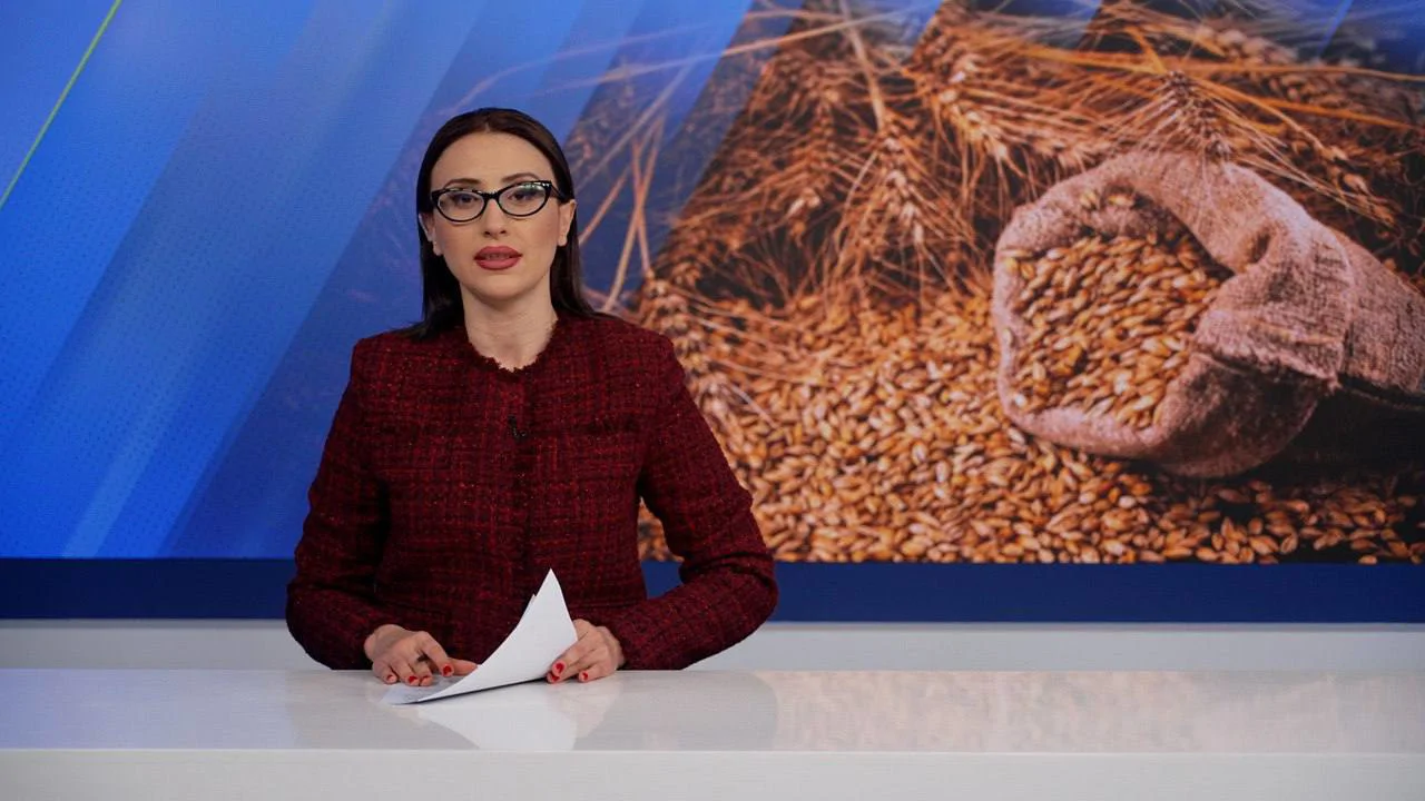 Время решительных выборов: корм для мира?