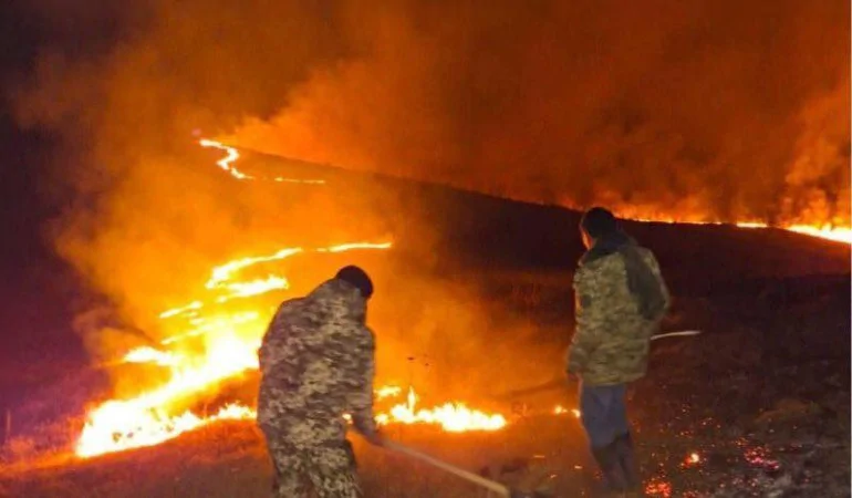 Հրդեհը «Դիլիջան» ազգային պարկում ուժգնանում է. ահազանգ