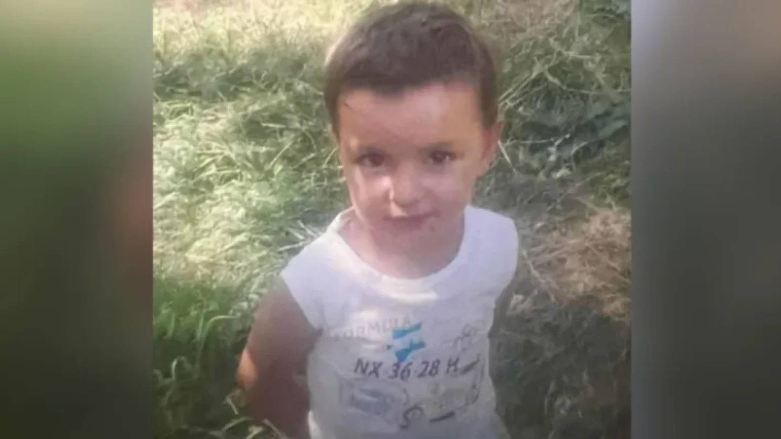 Отец задушил 3-летнего Тиграна, заявила глава МВД