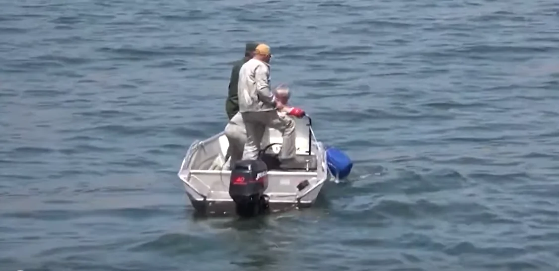 Over 1000 kg of Illegal Fish Seized from Lake Sevan in 2025